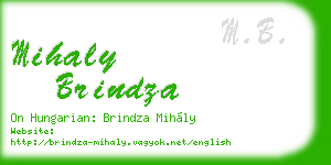 mihaly brindza business card